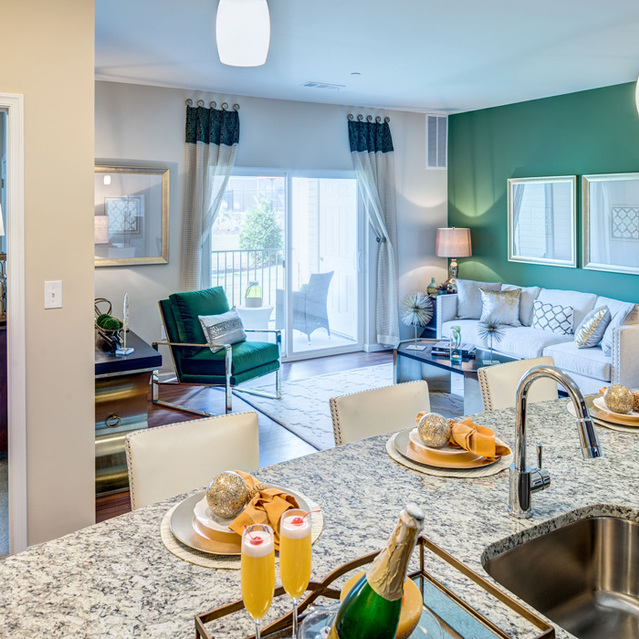 The Mark - Gourmet Kitchens and Granite Countertop